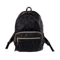 Hot selling leisure design Waterproof Backpack for lady Nylon Backpack